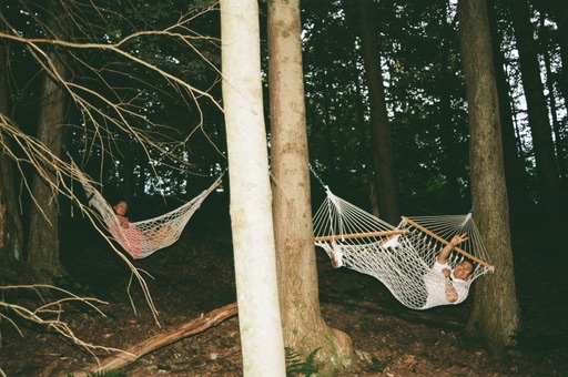 Skyline Woods property